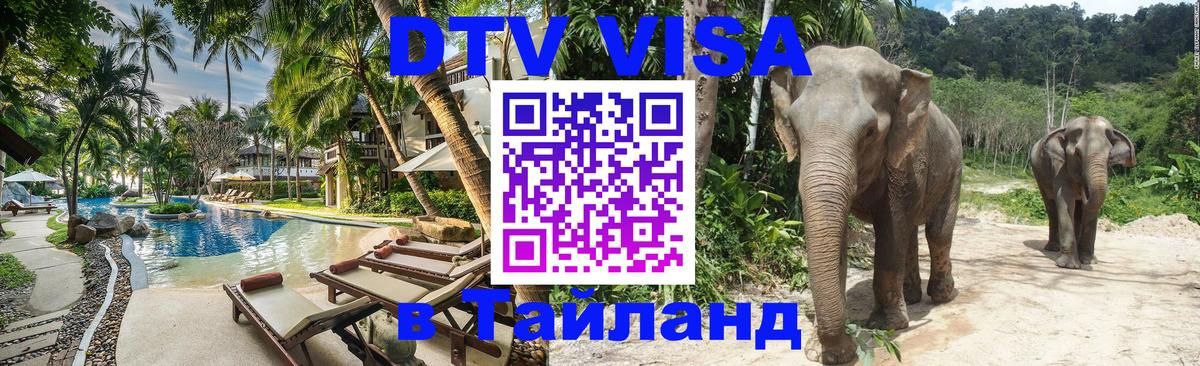 Оформление DTV визы под ключ: стоимость и тарифы, только загранпаспорт - Чебоксары 